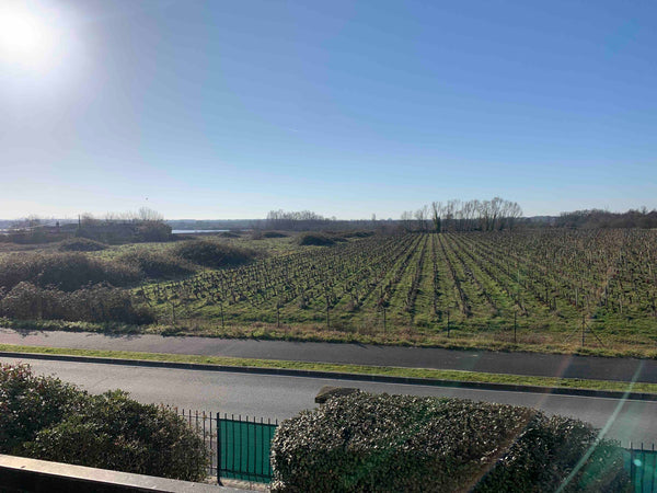 Appartement au 1er étage d’une résidence calme avec stationnement gratuit (1 pla Parempuyre, France Appartement entier T3 de 63m2 Entire condo vacation rental 52697072