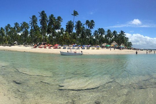 Aries Beach Private Tour Group 1 to 6 PAX Leaving Maragogi  Private Tours and Travel Guide America Maceio CITY Maragogi Destination Tour