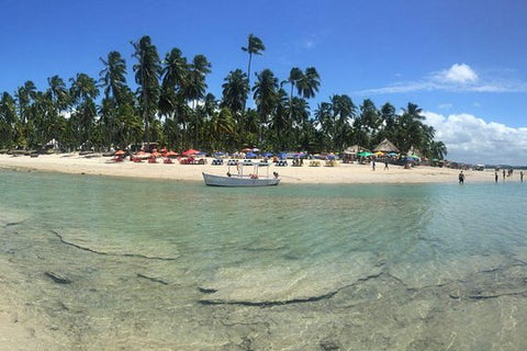 Aries Beach Private Tour Group 1 to 6 PAX Leaving Maragogi  Private Tours and Travel Guide America Maceio CITY Maragogi Destination Tour America Maceio CITY Maragogi