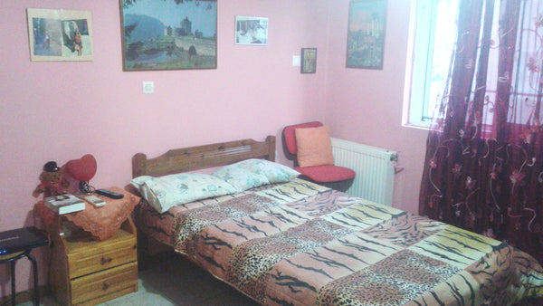 LOCATED IN DAFNH 5 MINUTES FROM METRO STATION.A BEDROOM WITH A DOUBLE BED AND A  Athens, Attica, Greece COZY APPARTMENT CLOSE TO CENTRE Entire rental unit vacation rental 8230851