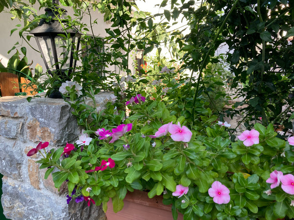 Our apartments are in the center from Palaiochora. Restaurants, bars and shops a Palaiochora, Greece Family House Frantzeskakis 2 Apartment Jannis Entire rental unit vacation rental 42007230