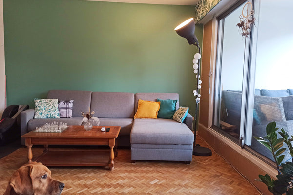 Bienvenue dans ce spacieux et lumineux 2 pièces, dans les hauteurs du 5ème arron Lyon, France T2 lumineux 65 m² avec place de parking Entire condo vacation rental 53683064