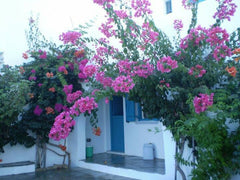 Panagia Parthena studios located just 5 meters from beach offering sea views som Mikri Vigla, Greece Panagia Parthena sea view apartment Entire rental unit vacation rental 3650691