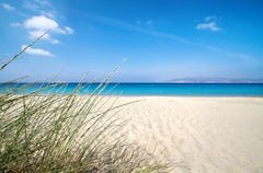 Superior 2 Bedroom Maisonette is part of Ploes Seaside Houses which is located i  Ploes Naxos - Superior 2 Bedroom Maisonette Entire serviced apartment vacation rental 17390279