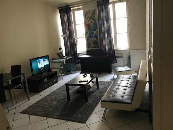 Spacieux t2 de 45 m2 situé dans l’hyper centre lyonnais (1 min à pied de l’hôtel  Spacieux t2, Hôtel de Ville, Entire rental unit vacation rental 22006520