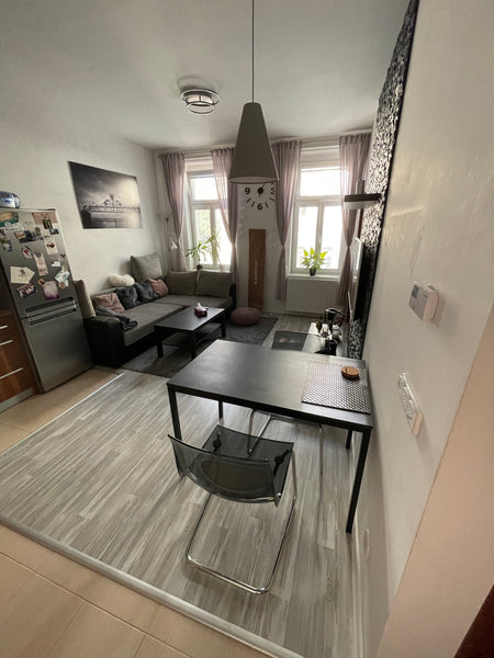 Cozy apartment is located 300m from Palmovka metro station, which is 10 minutes  Prague, Czechia Apartment Palm tree Entire condo vacation rental 26905677