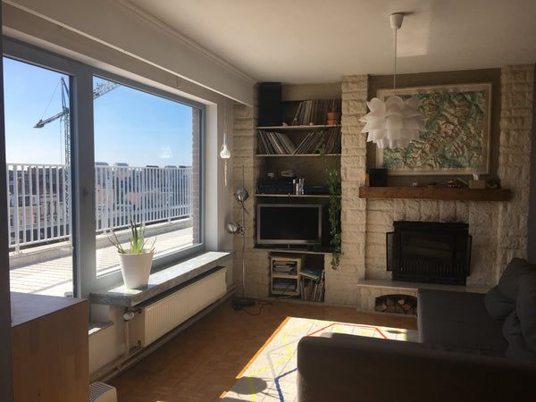 Near the central station in Antwerp, in the new up and coming trendy neighborhoo Antwerp, Belgium penthouse near CS station/free parking/great views Entire rental unit vacation rental 26163757