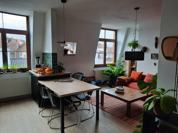 Welcome to Brussels !<br />We are a young architect couple, who recently renovat Brussels, Belgium SPACIOUS FLAT with wonderfull vibes !!! Entire rental unit vacation rental 46745474