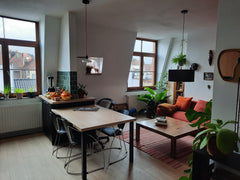 Welcome to Brussels !<br />We are a young architect couple, who recently renovat Brussels, Belgium SPACIOUS FLAT with wonderfull vibes !!! Entire rental unit vacation rental 46745474