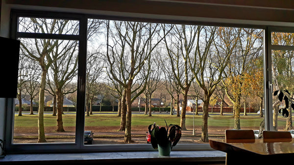 Dit licht appartement op de eerste verdieping vind je op de groenste plek van he Antwerpen, Belgium Flat w/ Lush View near Forrest&River + freeparking Entire rental unit vacation rental 45170372