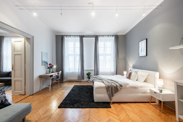 Charming apartment situated in a historical centre of Prague can accommodate up  Prague, Czechia NEW and Spacious 2BDR Apt in CENTRE (Krako 5) Entire rental unit vacation rental 40396945