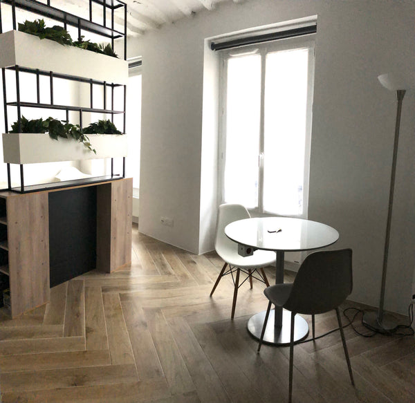 You are looking for a private and whole apartment in the heart of the celebrity  Paris, France A Journey Into The Heart Of Paris Private room in rental unit vacation rental 1249964