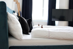 The studio has a living room/bedroom, kitchen, shower room and toilet. The cozy  Vienna, Austria Studioapartment - Downtown Vienna Entire rental unit vacation rental 40190332