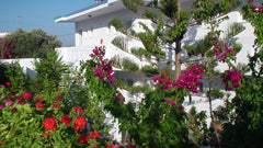 These studios are a 15-minute walk from the beach, restaurants, bars, cafes and  Crete Region, Greece CRETA VASSAKIS Entire rental unit vacation rental 16857103