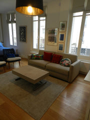 Classy studio de 40m² à 1 mn de la Tour Eiffel, neuf et entièrement équipé. Déco Paris, France CLASSY STUDIO TOUR EIFFEL Entire rental unit vacation rental 24236332