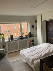 Lovely apartment - perfect for a couple visiting Copenhagen. The apartment is a  Copenhagen, Denmark Cozy apartment in Valby near Cph center Entire condo vacation rental 678749945816286782