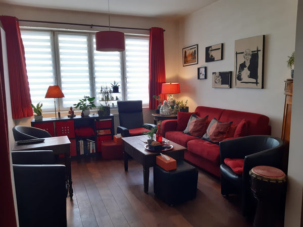 Profitez de ce logement tout confort avec cour et petit jardin. A 5 minutes du m Die, France Agréable maison de ville dans quartier calme Entire townhouse vacation rental 633922325887639665