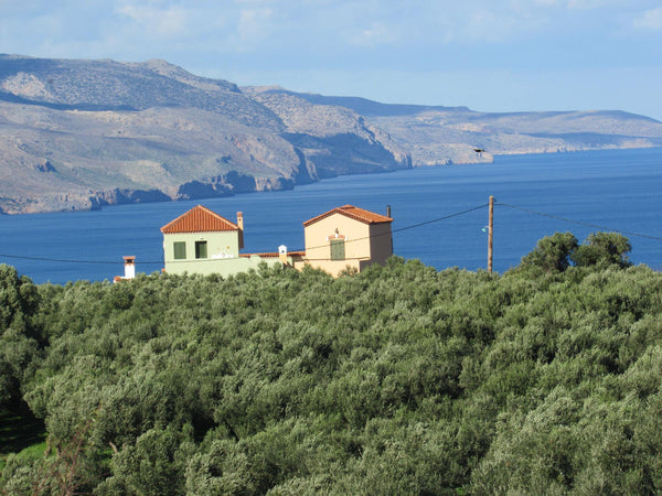 A fully furnished, quiet and cosy one-bedroom apartment immersed in nature and s Chania, Greece Peaceful and spacious country style apartment Entire home vacation rental 19270997