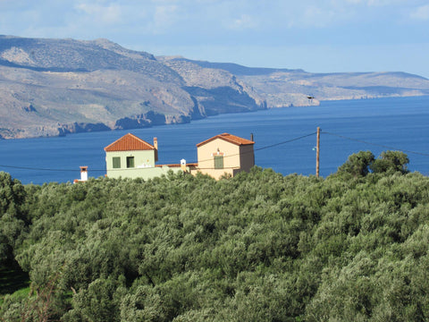 A fully furnished, quiet and cosy one-bedroom apartment immersed in nature and s Chania, Greece Peaceful and spacious country style apartment Entire home vacation rental 19270997
