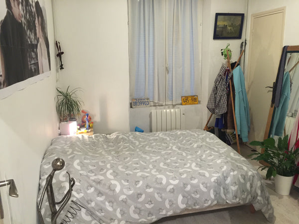 ambiance lunch en plein coeur de Lyon Lyon, France Appartement Lyon Private room in rental unit vacation rental 33012410