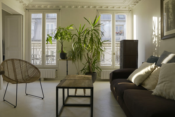We are renting our a spacious, sunny fully furnished apartment located on a pede Paris, France Sunny apartment with balcony Entire rental unit vacation rental 7964