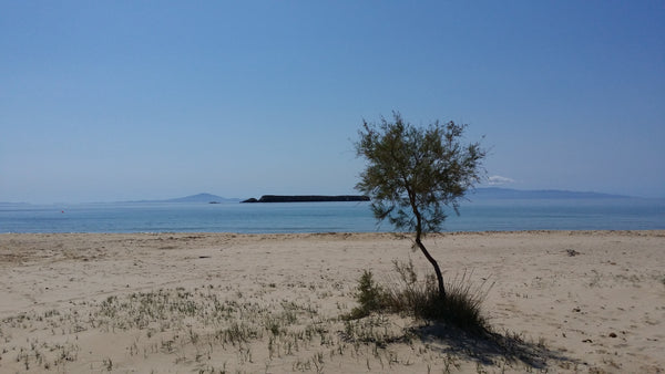 A tranquil relaxed environment in which you can truly relaxed and enjoy the beau  Stone sea view garden house Entire home vacation rental 12552193