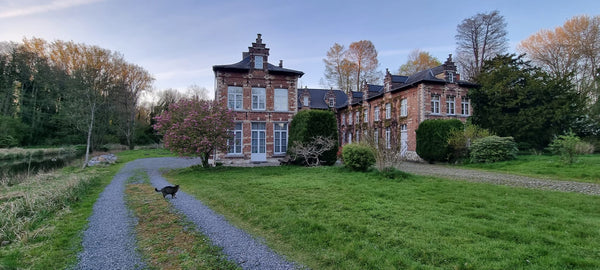 Unique and rare find close to brussels and airport. Enjoy the sounds of nature,  Brussels, Belgium Château Bedroom with own private bathroom Private room in castle vacation rental 611509679587896720