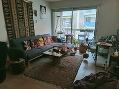 Petit T2 confortable de 50 mètres carrés, particulièrement bien desservi niveau  Dijon, France Appartement cosy Lyon 7 proche métro D Entire condo vacation rental 53717797