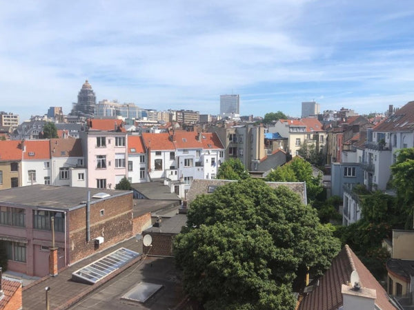Fully equipped apartment close to metro, shops and lively areas (Parvis de Saint Geneva, Switzerland Luminous duplex in the heart of Brussels Entire rental unit vacation rental 663802428669926698