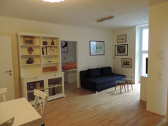 Our place is a renovated apartment, located  in a exclusive district, a few step Vienna, Austria Between Water and Market! Entire rental unit vacation rental 23303295