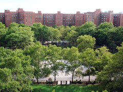  New York, NY Rental unit in New York · 1 bedroom · 1 bed · 1 shared bath Private room in rental unit vacation rental 26458835