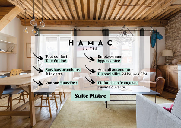 Welcome to this superb type 2 flat, completely renovated, with exposed stone and Lyon, France Hamac Suites - Suite Le Plâtre - Vue Fourvière Entire rental unit vacation rental 628667908555593640