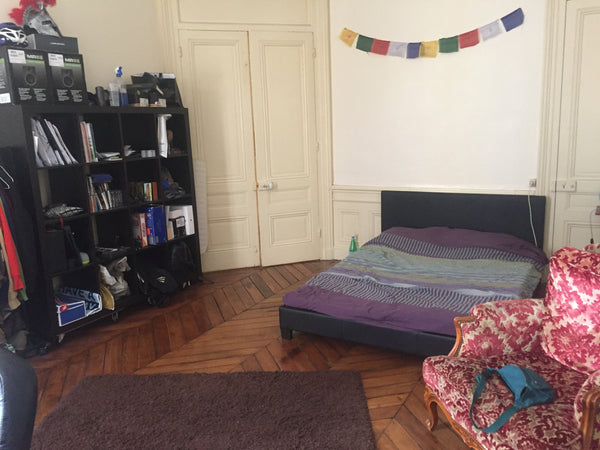 Grande chambre (20m2) dans l'extrême-centre de Lyon -  Appartement typique avec  Dijon, France Chambre dans grand T3 au coeur de la presque île Private room in rental unit vacation rental 22113508