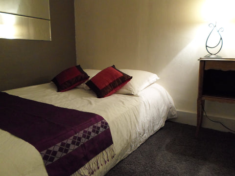 Absents pendant la fête des lumière, nous proposons notre appartement situé en p Lyon, France Appartement en centre ville Entire rental unit vacation rental 9420889