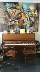 Tres belle échoppe traditionnelle bordelaise surélevée dans quartier calme mais  Bordeaux, France Grande échoppe bordelaise rénovée Entire home vacation rental 26851156