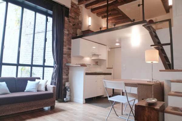 Exquisite and central in Paris! Nearby the Louvre, Notre Dame and Saint Germain  France Studio for 3 by the Seine Daup Entire loft vacation rental 8875811