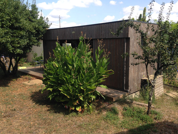 Studio de jardin en bois avec terrasse à Pessac centre, Proche universités, tram Pessac, France Studio de jardin Entire chalet vacation rental 23594516