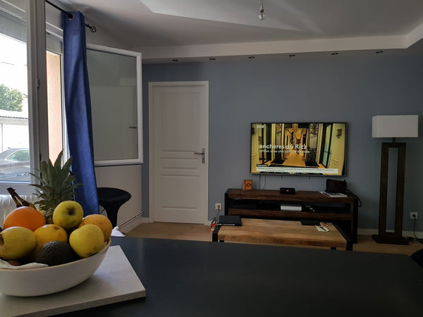 Profitez d'un logement élégant et central proches du centre ville et de toutes l Lyon, France Joli appartement bord de Soane Entire rental unit vacation rental 776872040673967068