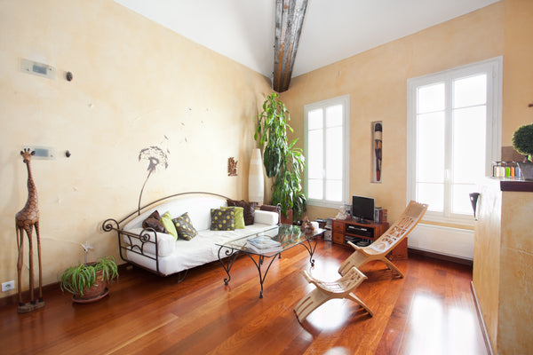 Mon appartement est situé dans une très jolie cour à l'écart de la rue. Il est l Paris, France Loft very charming in Paris Entire loft vacation rental 11798