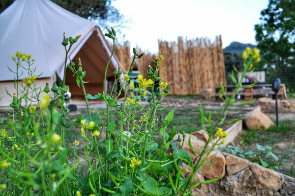 Enjoy the Cretan nature by glamping in the village of Vrises of Kydonia in Chani Chania, Greece Glamping Canvas tent in Chania(Wild Cretan West) Tent vacation rental 49733904