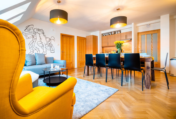 Beautiful penthouse in the city centre. Newly refurbished into PIXAR movie theme Prague, Czechia 5BR+2Bath Family Toy Story APT in city centre Entire rental unit vacation rental 38536147