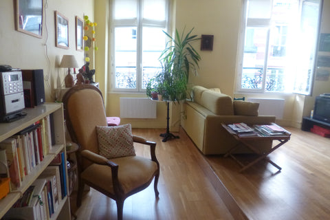 Appartement  ensoleillé au 2ème étage d'un vieil immeuble parisien . Situé dans  Lyon, France deux pièces de 40 m2  dans le 11e Entire rental unit vacation rental 6472474
