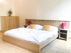 Located in one of the largest cities of the European Union, the Ginosi Elema Apa  Ferda Prague Entire rental unit vacation rental 28167025