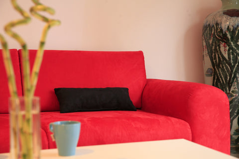 A charming ,modernand renovated apartment in the historical center of Antwerp,ac  A apartment in the heart of antwerp Entire rental unit vacation rental 10411697