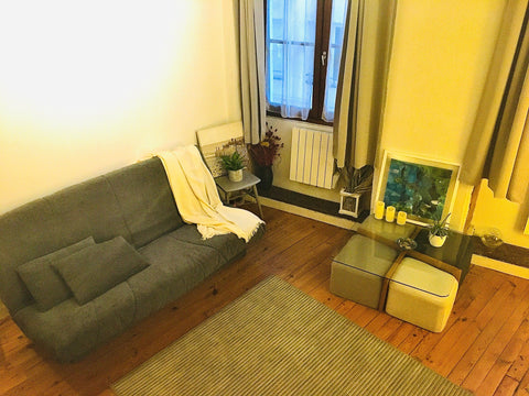 Appartement canut, typique lyonnais tout équipé,  en plein centre de Lyon , sur  Lyon, France Appartement typique canut en plein centre Lyon 1er Entire rental unit vacation rental 47446671