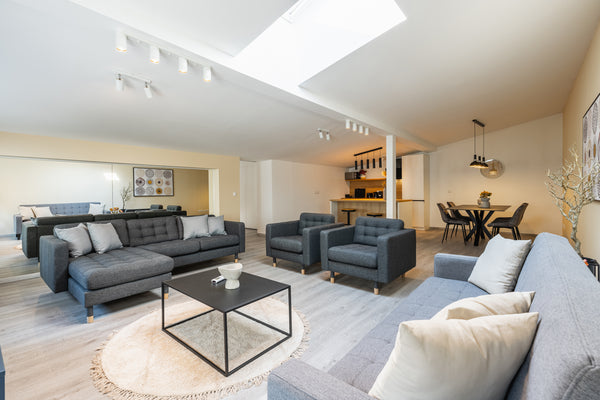 Open Space apartment with modern renovation and access to a large terrace. The a  Loft apartment with Terrace + Free Parking. Leopoldstadt Entire rental unit vacation rental 681870977604423146
