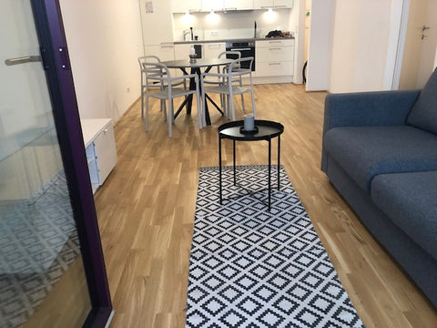 Apartment centrally-located within walking distance to the 1st district and Wien Vienna, Austria One-Bedroom with loggia Entire rental unit vacation rental 685486685949469906