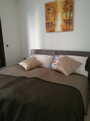 Our New,clean and safe apartment in the heart of Prague - 10 minutes from Wences Prague, Czechia New amazing apartment,New Town,Spálená 5,Prague 1 Entire rental unit vacation rental 21263785