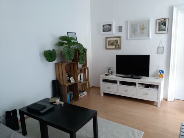 Modern, quiet flat located in the city centre - one of the most famous shopping  Vienna, Austria Central and cozy flat Entire rental unit vacation rental 24659657