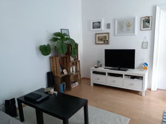 Modern, quiet flat located in the city centre - one of the most famous shopping  Vienna, Austria Central and cozy flat Entire rental unit vacation rental 24659657